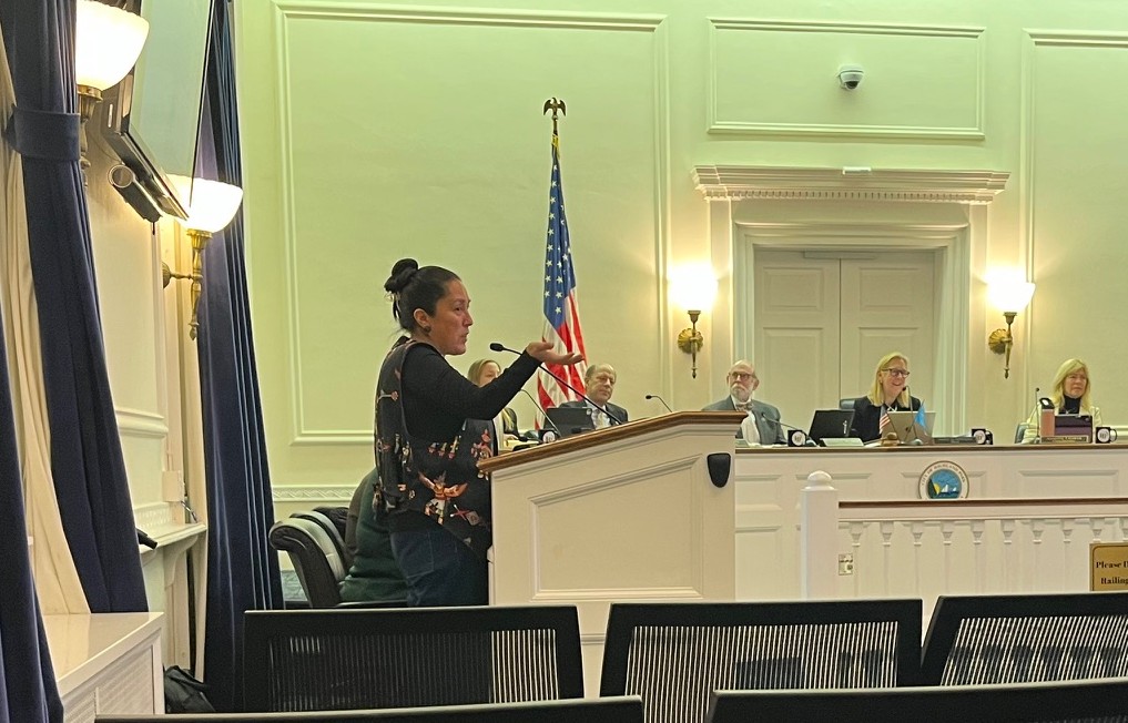 Highland Park resident speaks about her Native American heritage at the Nov. 24 Highland Park City Council meeting.